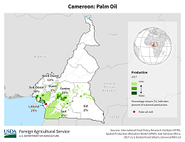 images\CM\cropprod\Cameroon_Oil_Palm_preview.png